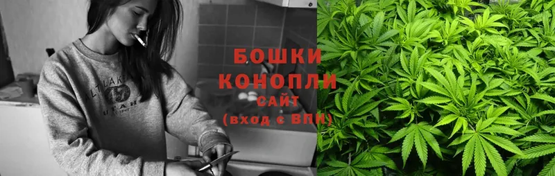 Бошки марихуана THC 21%  Светлоград 